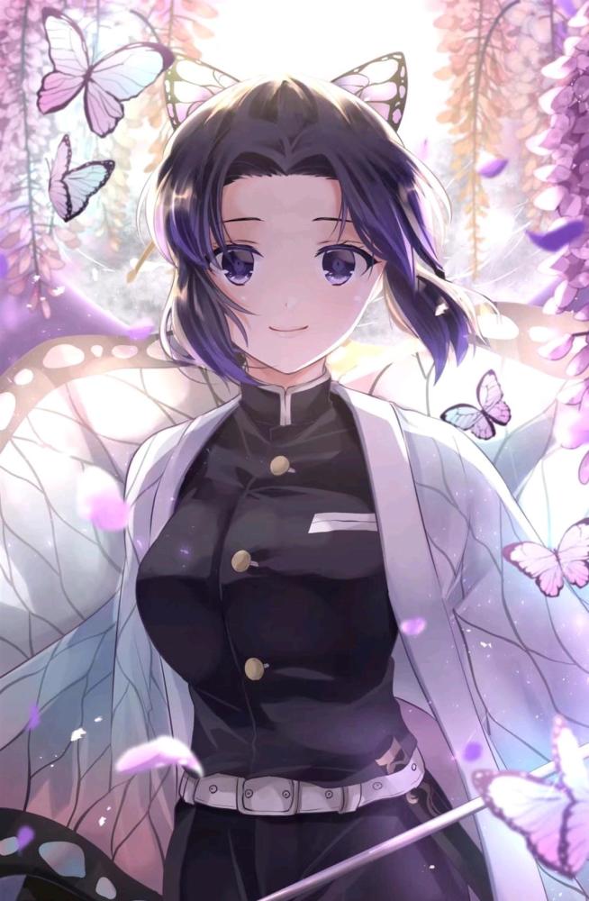 鬼灭蝴蝶忍祢豆子专期壁纸