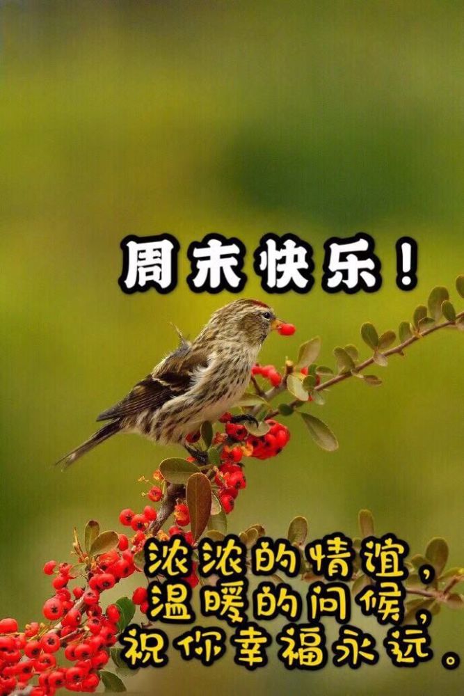 週末早安祝福語圖片帶字,星期天早上好問候朋友圈的短句子_騰訊新聞