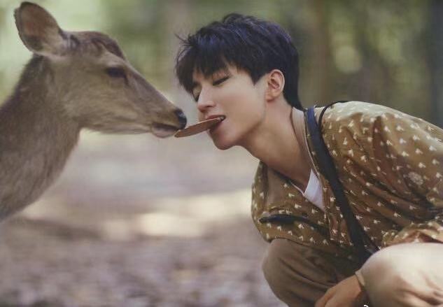 王俊凯蒋依依在一起了?网友列出撒糖细节,知
