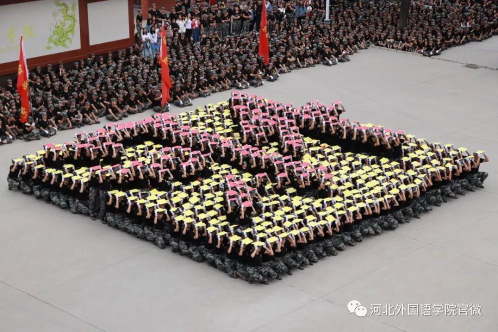 2020河北最好的单招_今天起,2020年河北省高职单招可填报志愿