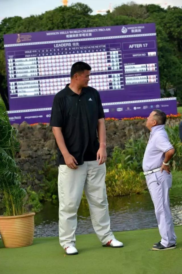 明星与姚明的合影,杨紫很呆萌,李连杰搞笑,而杨幂却仍显高挑