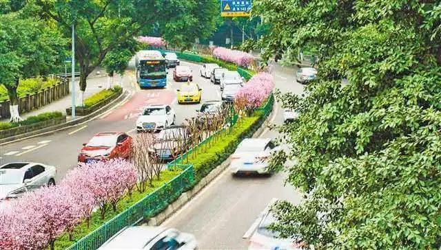 规划线路:渝北区体育馆-兰馨大道-宝桐路-回兴立交-服装城大道-龚家岩