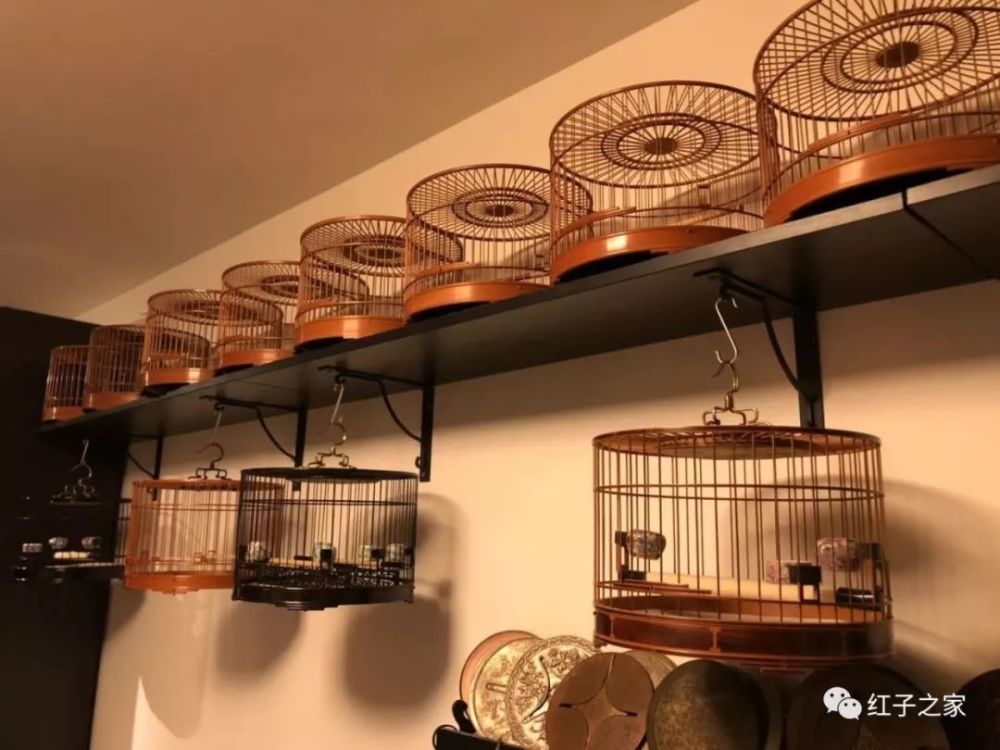 九爷讲堂笼具收藏三大妙招教你省钱