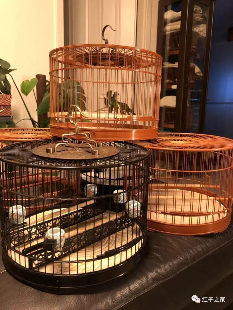 九爷讲堂笼具收藏三大妙招教你省钱