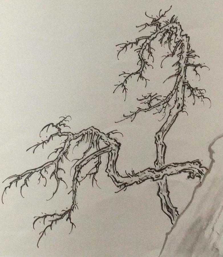 名家画树古代画家杂树画法赏析