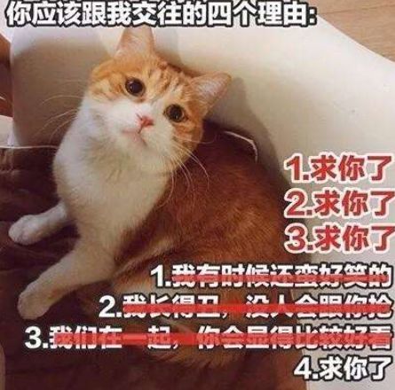 1228家中传来训斥声"叼拖鞋有什么用,敢不敢把小姐姐约过来?