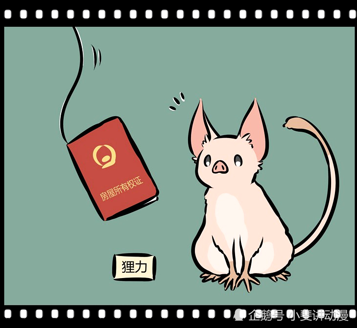 非人哉:逗狸力有技巧,宠物棒不行,烈烈手里拿的房产证才是重点