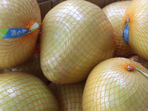 手把手教你挑选甜柚子,一挑一个准,现在学会还不晚