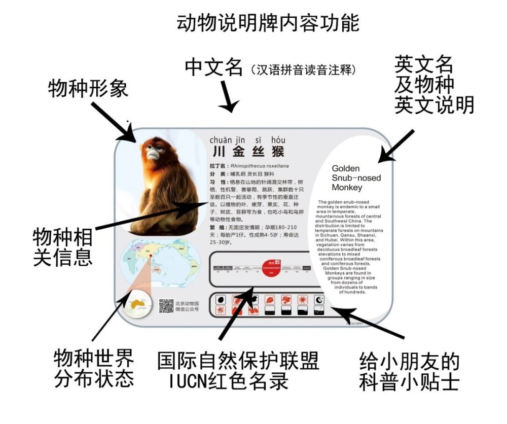 北京动物园动物说明牌上新了增加了给小朋友的小贴士