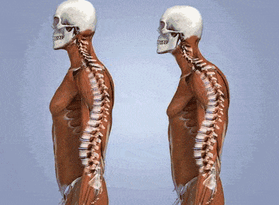 网红躺着就瘦的动作不光不减肥,还会让你骨盆前倾,变x型腿!