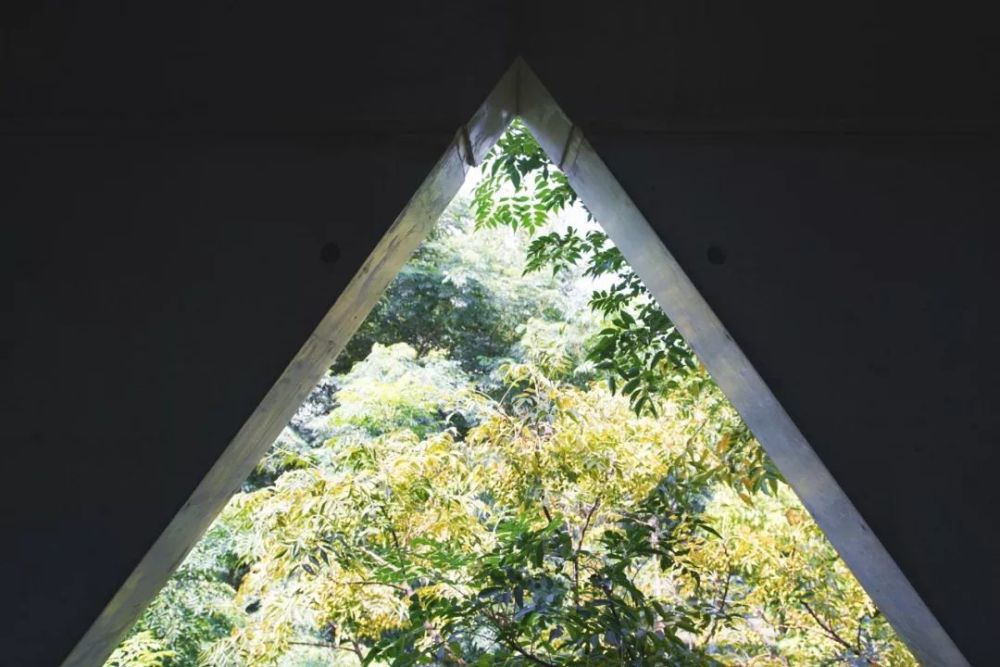 毛森江|他花6年造一栋三角形别墅，业界惊叹：这样的房子，100年也不过时