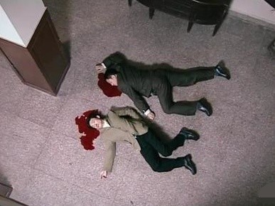 这楼道是那种老式办公楼建筑,楼道下面有一个大厅,两人摔死后,有个从