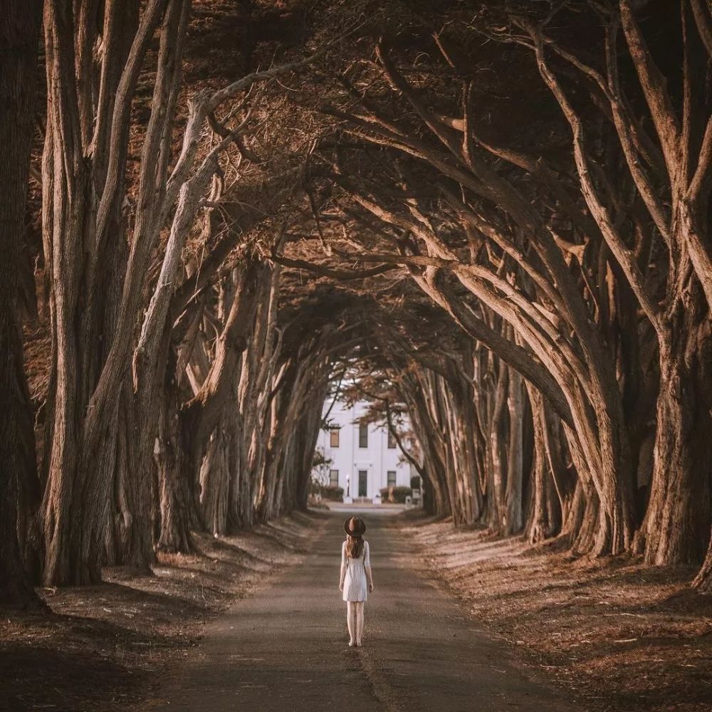 美丽的背影衬托出最美初夏秋冬