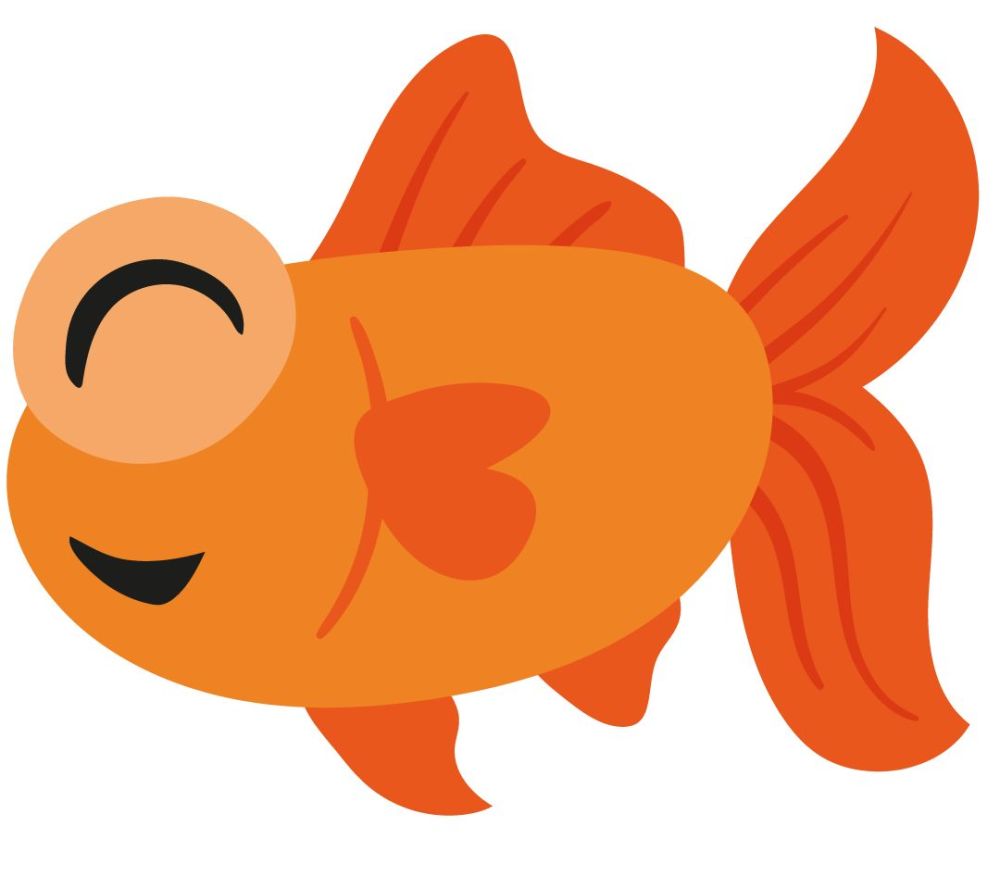 金鱼的记忆真的只有7秒 其实我们误解了 看过这些你就会明白