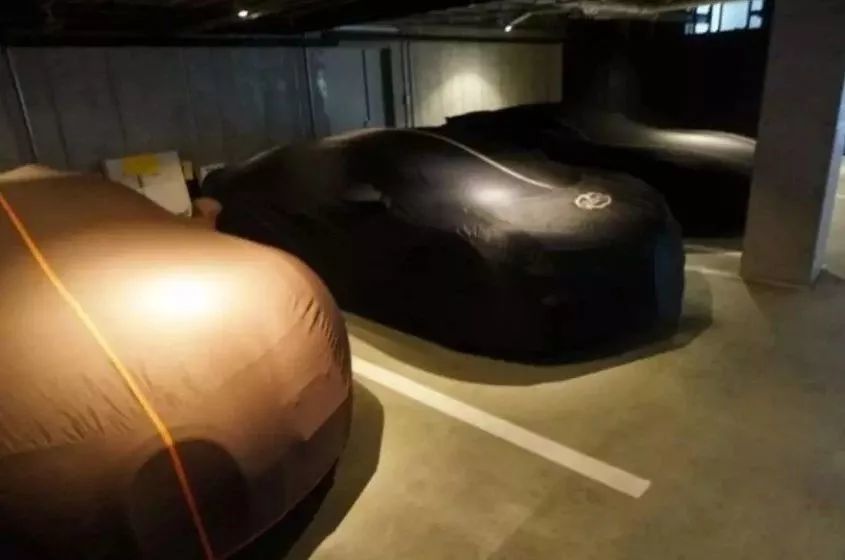 日本王思聪 快破产了 曾号称钱越花越多 腾讯新闻