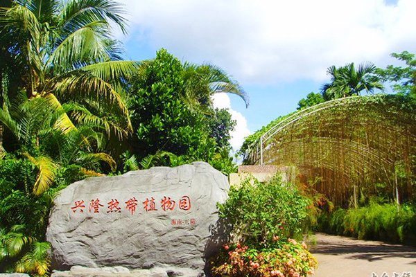 如創建於1957年的萬寧興隆熱帶植物園是海南最早對外開放參觀的熱帶