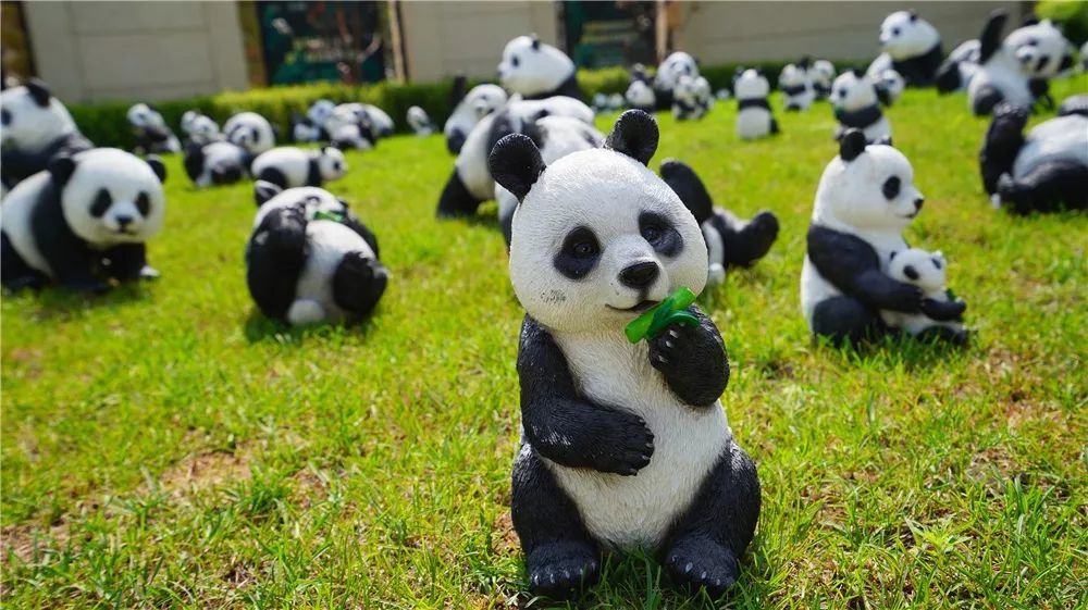 荆门园博园首届熊猫艺术巡回展6月1日盛大开幕!不限量礼品免费送啦!