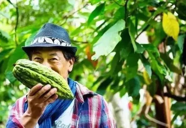 小山进爱担心令我成了日本国宝级巧克力大师