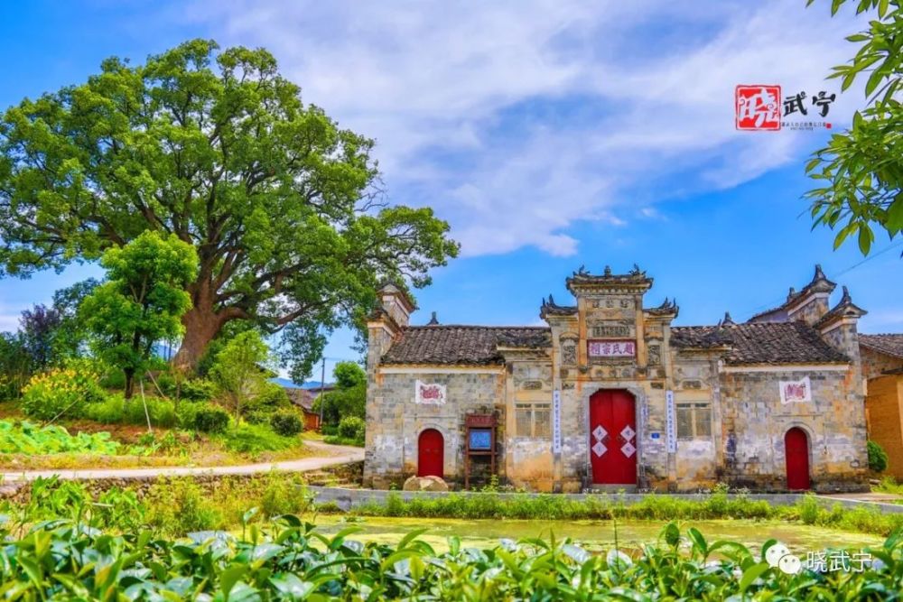 如果你来邵武我想自豪地告诉你