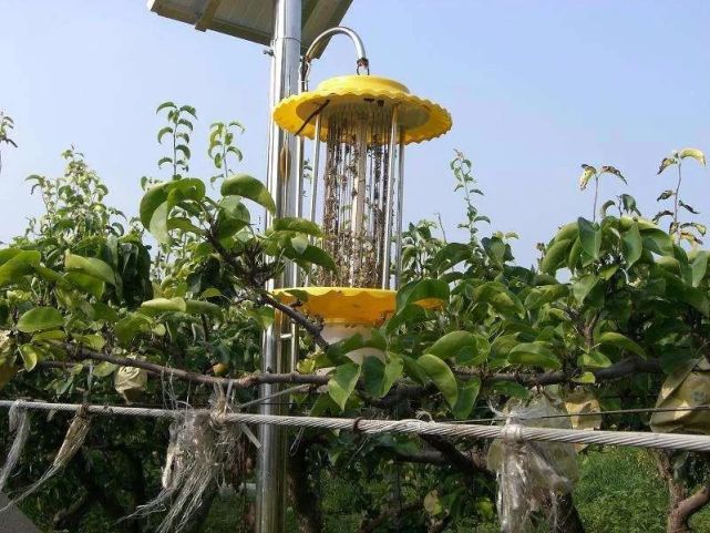 打开腾讯新闻,查看更多图片 >一,灯光诱杀适合于棉田,稻田和果园害虫