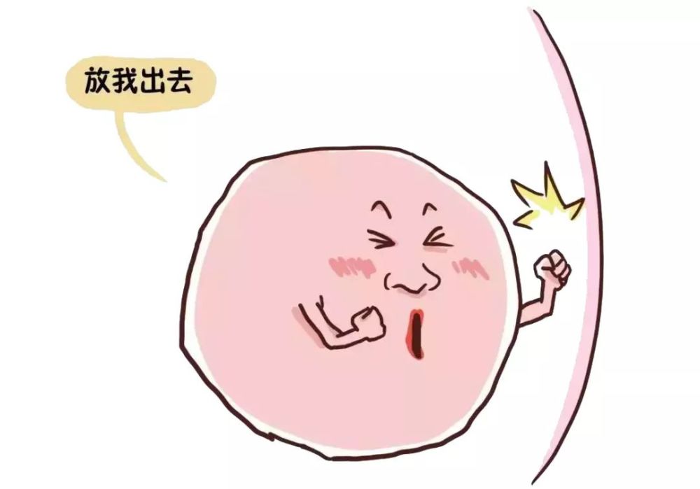 如何利用超声波检查法自测排卵期 提高受孕率