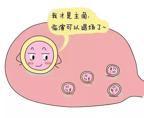 如何利用超声波检查法自测排卵期 提高受孕率