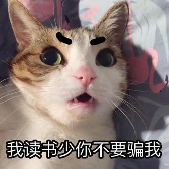 从没见过这么肥的猫 正看像球侧看像猪 别问腿 看不到