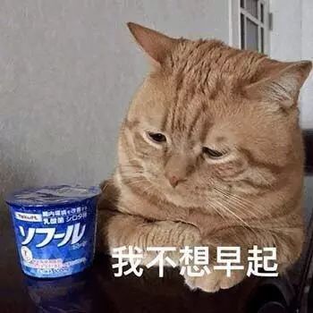 猫咪表情包:我太难了,我想静静