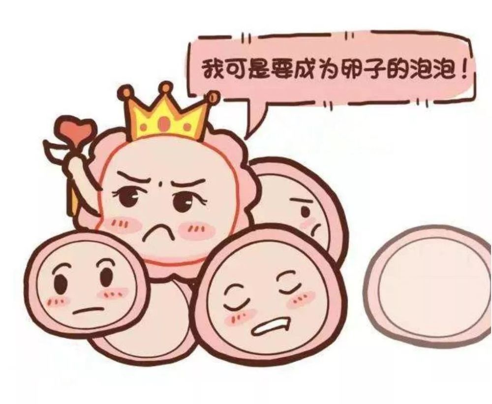 卵子的独白:本小姐太难了