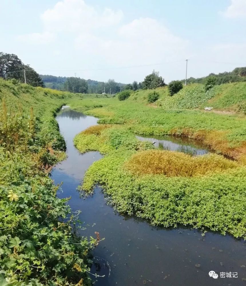 溱洧风情记忆中的双洎河