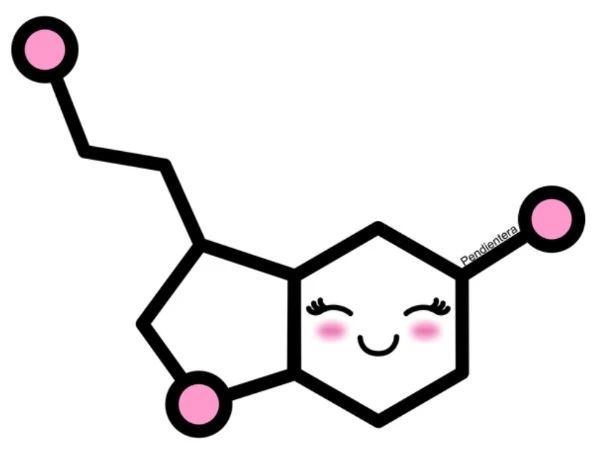血清素跟我们的情绪和记忆有直接的关系.
