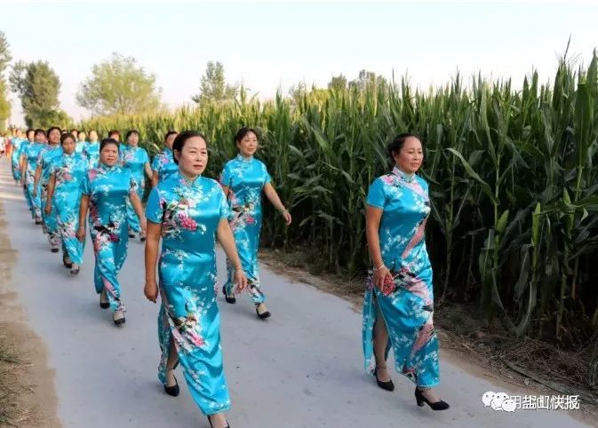 一起来看,盐山县"2019年中国农民丰收节"精彩活动轮番上演!