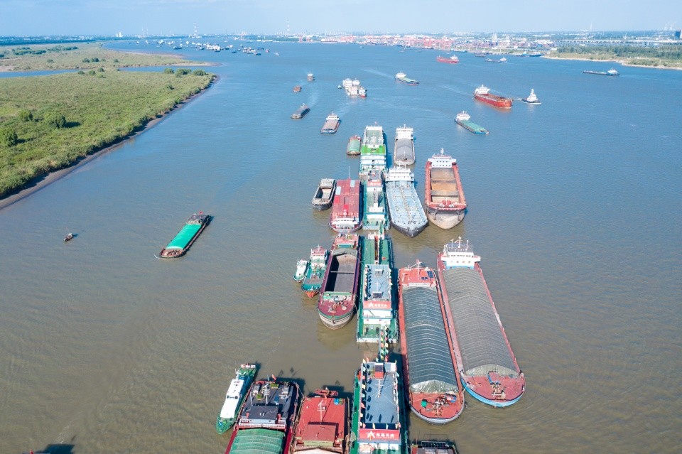 黄金水道,绿色行动,南京长江段美颜的秘密在这儿