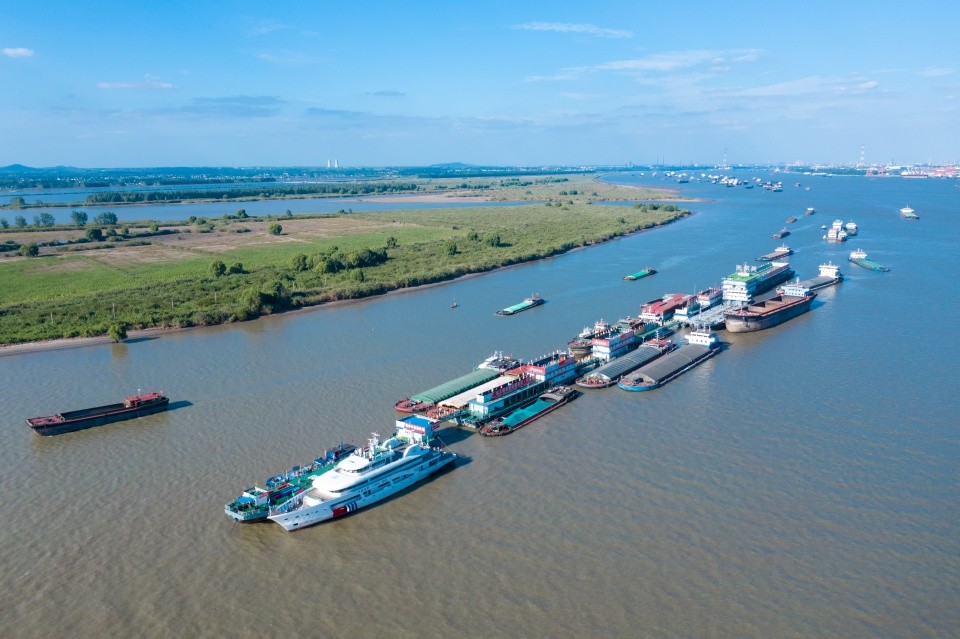 黄金水道,绿色行动,南京长江段美颜的秘密在这儿