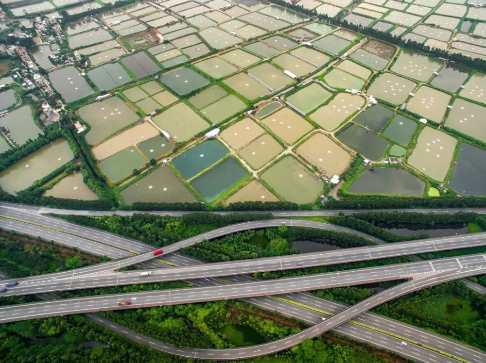 为什么说最怕和顺德人吃饭 腾讯新闻