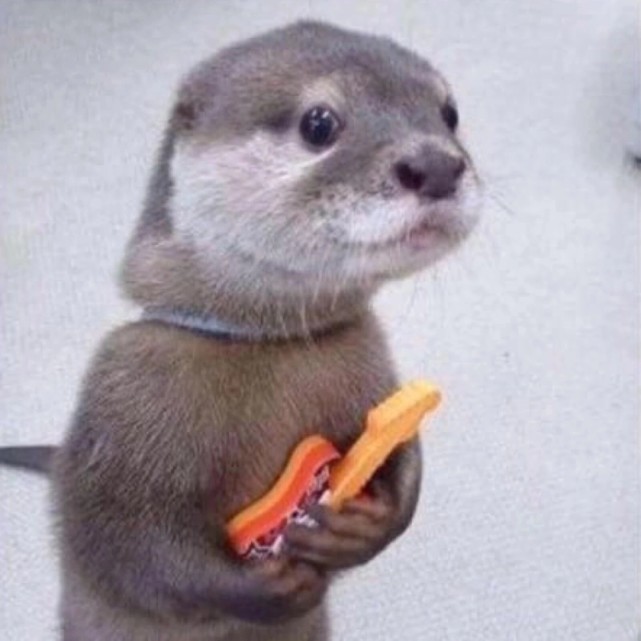 图片来源于网络如有侵权请联系删除@软猫