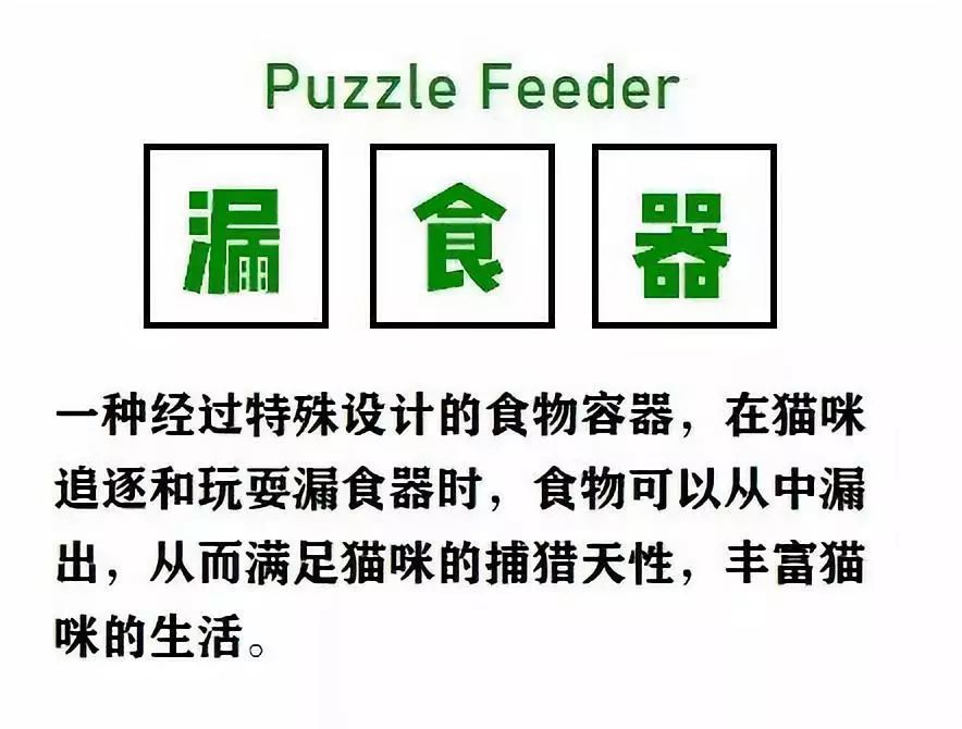 不在场喂猫计划 手把手教你做猫咪益智漏食器