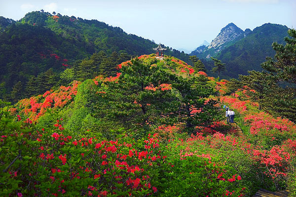 擁有四祖寺,五祖寺,妙樂寺,龍感湖,太白湖,挪步園等景區