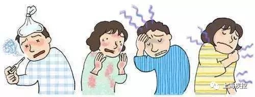 登革热|预防登革热，防蚊灭蚊是关键