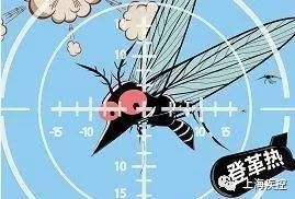 登革热|预防登革热，防蚊灭蚊是关键