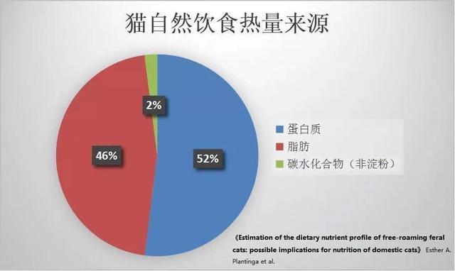 猫咪饮食结构构成分析 纯肉食 小老虎 你都喂对了吗