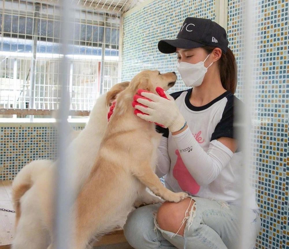 萌宠和充满爱心的小天使,心善人也美