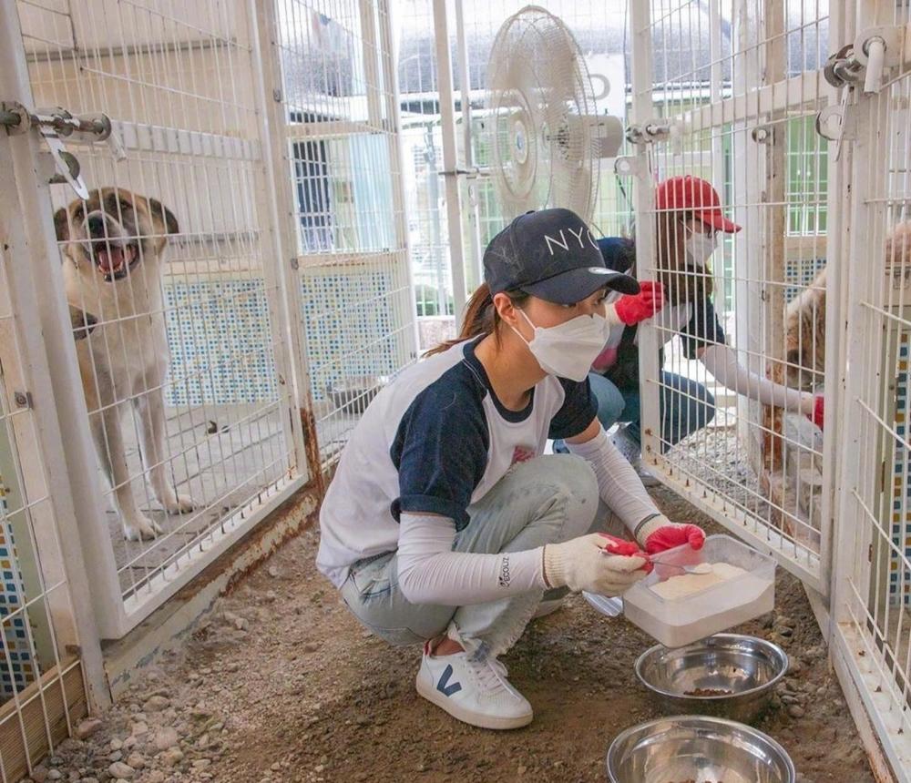 萌宠和充满爱心的小天使,心善人也美