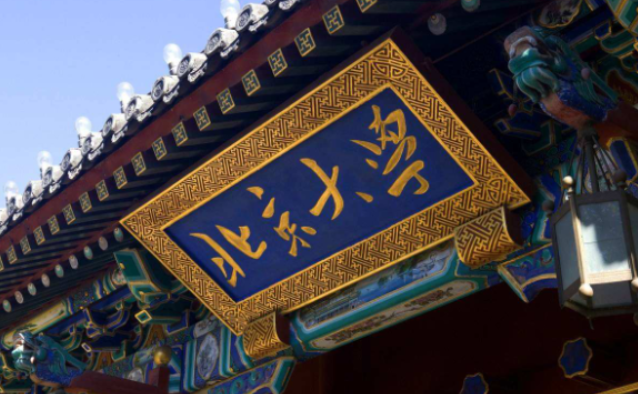 数学满分的学霸,成功玩转高等数学|高考|王圣阳|北京大学