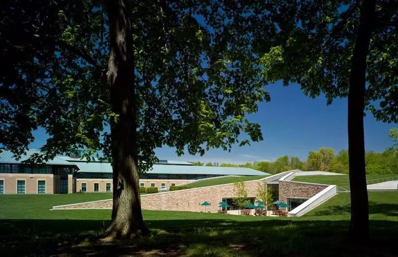 美国最著名的九所野鸡大学,都是哪几所?