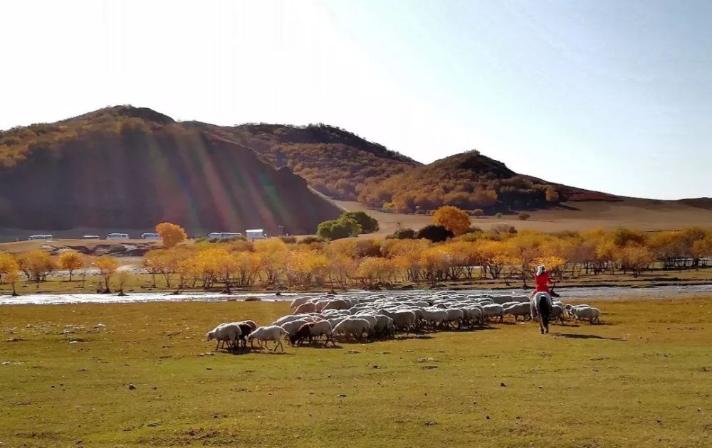 【即时播报】锦绣金秋草原我们在现场 镜头礼赞美丽祖国