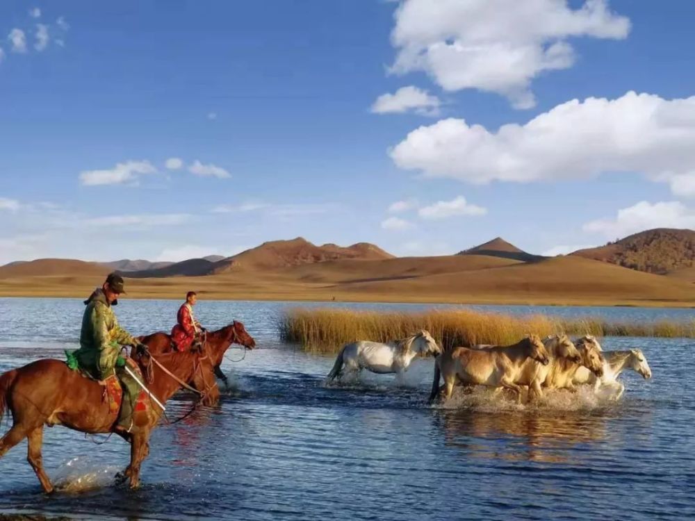 【即时播报】锦绣金秋草原我们在现场 镜头礼赞美丽祖国
