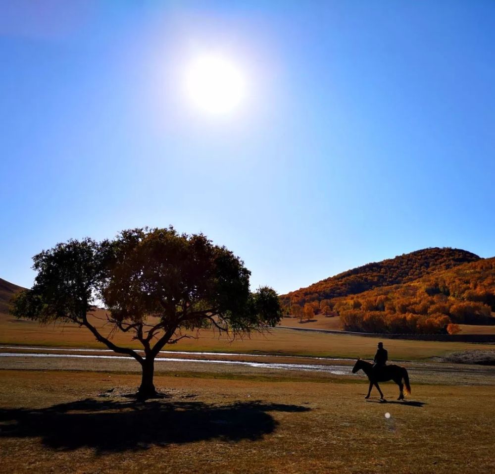 【即时播报】锦绣金秋草原我们在现场 镜头礼赞美丽祖国