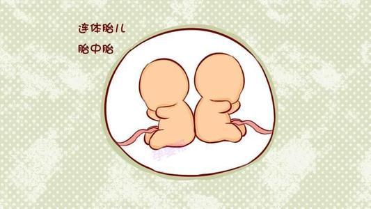胎中之谜 腾讯网