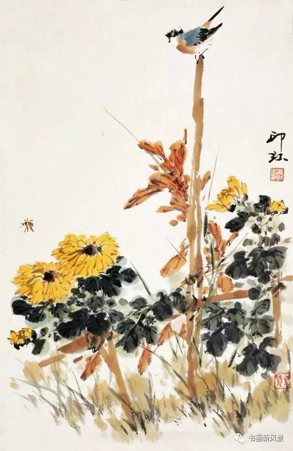 花鸟画|这位老先生的花鸟，色彩超美！